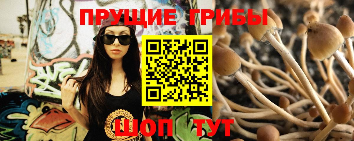 Трёхгорный  Галлюциногенные грибы ЛСД  Вход с VPN  Псилоцибиновые грибы Magic Shrooms 